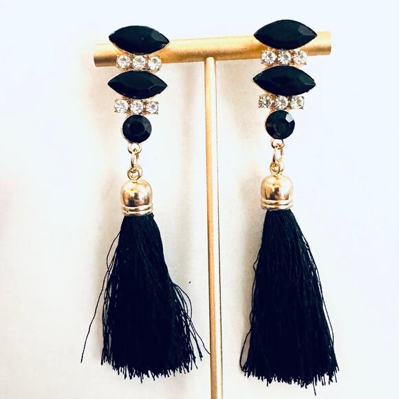 Jewel Tassel Drop Earrings - Picture 1 of 1
